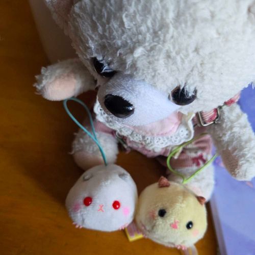 \おはよー/
だれだね？　きみたちは