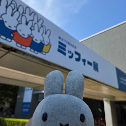 ぽこちゃんなの。
にんげんとミッフィー展にいってきたの。
たくさんひとがいて、うれしくなっちゃったの。
おみやげも　かってもらったの。

ファーファちゃん？
きょうは　ねてたの😪