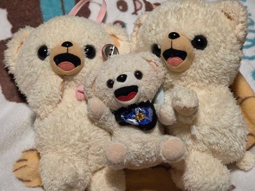 ぼくの　おにいちゃんファーファと　おねえちゃんファーファだよ🐻‍❄️🐻‍❄️🐻‍❄️
ぼくは家族が多いから、　おにいちゃんと　おねえちゃんもたくさん
でも　このおにいちゃんとおねえちゃんは　背中ファスナー仲間なんだ🐻‍❄️
あれ……？　しっぽが！！！