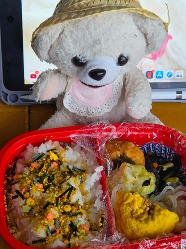 今日の　お弁当　だよ
ポイントは　カラフルチップ入りのりたまと　のりっこチキン🐔