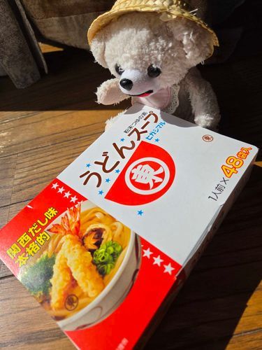 かいぬちに　頼んでおいた　
でっかい　ヒガシマルの　うどんスープが　来たよ😃✌🍜
これで　味付けには　困らないね

2枚目は　かいぬちの　買い物だよ
なあにこれ　いい匂いするけど👀❓