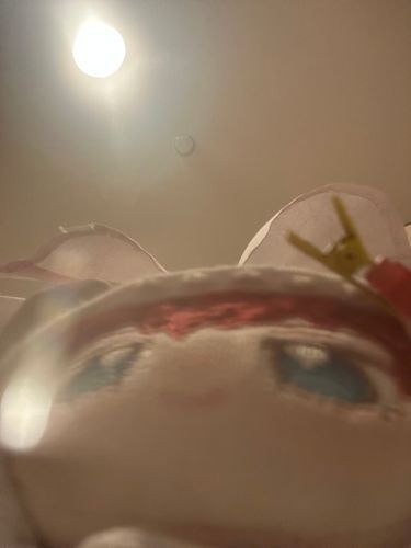 初投稿
親のカメラでいたずら😈