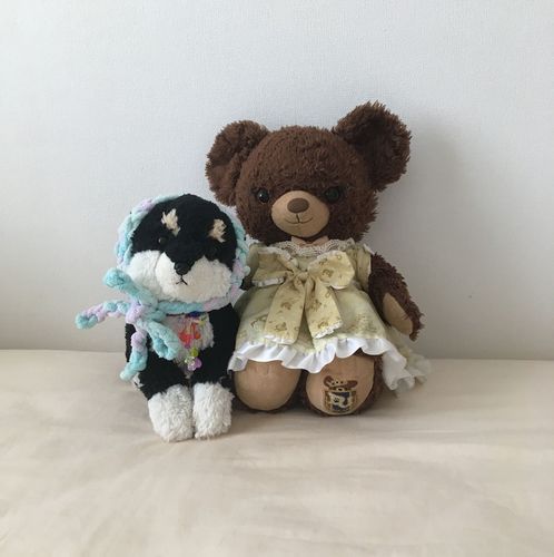 くま実たちの共同アカウント☺︎

🧡くま実
正体はディズニーユニベアシティのプリンちゃん
好物はさくらんぼ⋆🍒⭒˚
体年齢13歳。最近の悩みは薄毛。

🩵ふわわ
正体はひざわんこの黒柴
生意気な性格だがあざとい系男子
体年齢8歳。最近の悩みは毛並みの劣化。

💜リィミー
正体はNICIのペンケース
レインボーうさぎの男の娘
体年齢4歳。最近の悩みは変色。