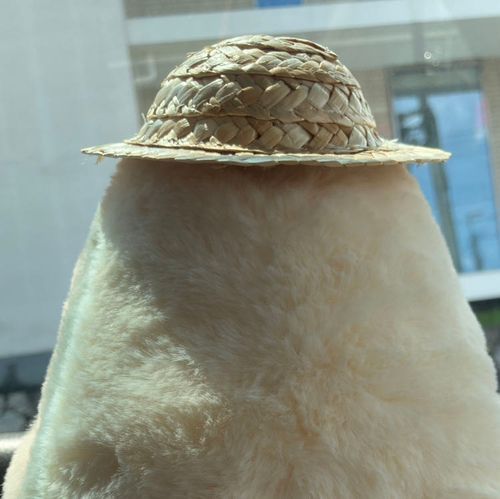 夏生まれの温泉とスイカが大好きなトリ♨️
麦わら帽子がトレードマーク👒
つきそいさんの名前は「おにーさん」