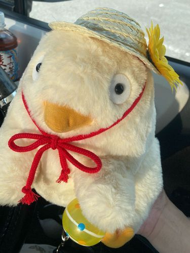 おにーさんのお友だちが作ってくれたぼうし🌻
おみやげの水ぼんぼん