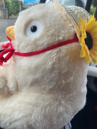あっちっち☀️、おわった？