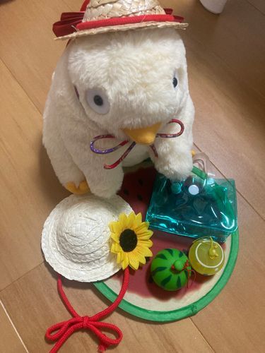 きょう買ってもらったものたち🍉