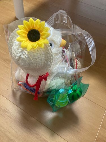 トリ専用お出かけバッグ👜