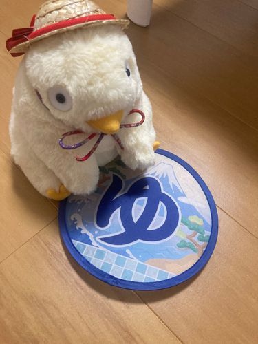 みんなきょうは何してた？
コメントでおしえて📝