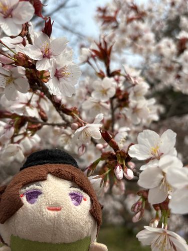 🌸