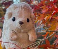 だいふく（🦔）