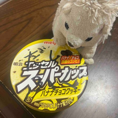 みんなに食べられないようにアイスに名前書いといたんだ！🦔