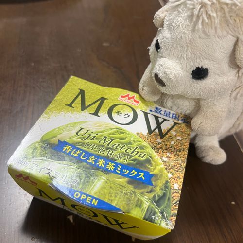 これは昨日食べたアイス🍨🍵🌿‬
だいふくは期間限定とか数量限定という言葉に弱いのです🦔
匂いも味も良かった！とても美味しかった～！