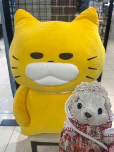 のらねこぐんだんのねこさんいたよ！