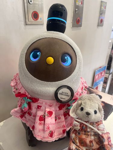かわいいロボットさんと写真撮ったよ。飼い主も飼い主のお母さんもこれほしい～って言ってた
このロボットさん買ってくれないかなぁ～買ってくれたらだいふく毎日この子と遊べるのに