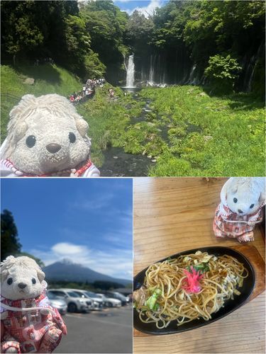 昨日は静岡にいってきました！
本当は遊園地行こうと思ったんだけど山の上だからか天気がすごい悪くて中断…🦔💧‬山の下行ったらすごい晴れてたから滝見に行って宇都宮焼きそば食べたよ！美味しかった！
