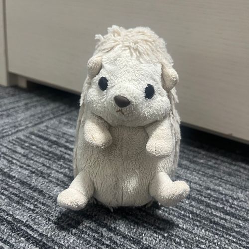 今日ね、飼い主がお買い物一緒に行こって言うから飼い主のズボンのポケットに入って行ってきたのね、
んで飼い主がなんかお洋服買ったからなのかこっちにいてね！って言われてGUの紙袋の中に移動させられたの。
そんで2.30分後に急に飼い主が「ポケットにだいふくちゃんいない！」って言い出してだいふく探しに走って行っちゃったの。だいふくここ（GUの紙袋の中）にいるのに…。
でもここにいるよー！って声届かないからどうしようと思ってたら飼い主のお母さんがGUの紙袋の中にだいふくいないか探してくれたおかげで見つけてくれたの！
でもね飼い主のお母さんに「もう、だいふくちゃんどこ行ってたの！心配したよ」って言われたんだけど、これどう考えても紙袋にだいふくを入れたことを忘れてた飼い主が悪いと思うの。