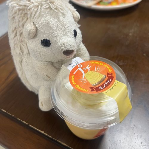 飼い主が昨日のお詫びにって言ってくれたよ！許してあげよう🦔