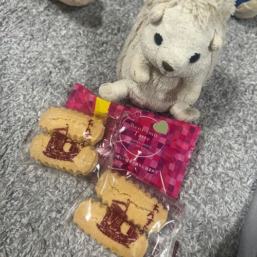 飼い主の彼氏から沖縄のお土産をもらったらしいよ🌺
だいふくがいたから平等にお菓子分けれたみたいだよ！やったね！これはだいふくのぶんだ！！🦔