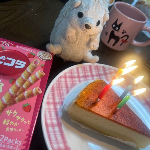 今日は飼い主の弟からピコラをもらって、飼い主のお父さんからはチーズケーキをもらったよ！
家族みんなだいふくのお誕生日お祝いしてくれて嬉しい！だいふく幸せ！
