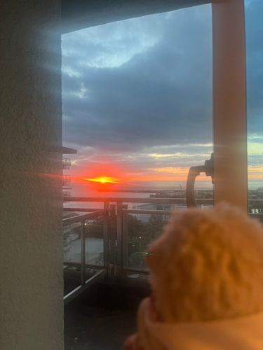 2泊3日で熱海旅行にきてるよ！
今日は朝から綺麗な日の出が見れたよ🦔早起きは三文の徳だね！
