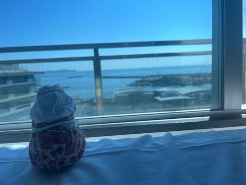 熱海旅行最終日の朝☀️
海ってずーーーっと奥まで泳いでたらどこにたどり着くのかな