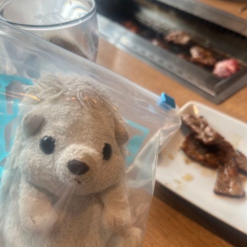 今日は家族みんなで焼肉に行ってきたよ！お腹いっぱい食べた！お肉好き！