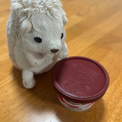 久しぶり！みんな元気？
だいふくは元気だけど飼い主が突発性難聴になってしまったりで飼い主は落ち込んでいる日々だよ。
ストレス抱え込みすぎちゃうと身体に支障が出てしまうからみんなも息抜きしてね！だいふくは美味しい物食べて息抜きしています🦔