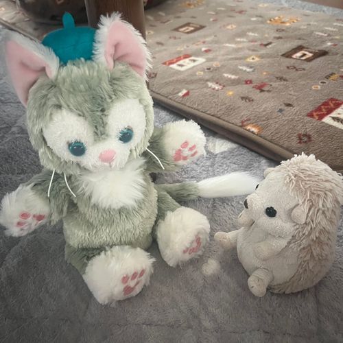 昨日は飼い主がディズニーシーに行ってきたみたいでお友達を連れて帰ってきたよ！だいふく、今日はずっとジェラトーニとお話しようと思うの