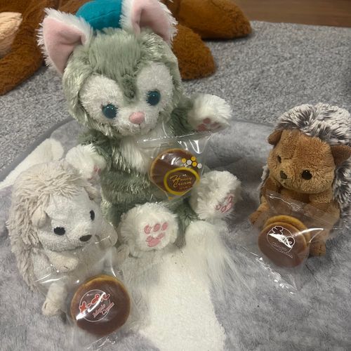 今日は飼い主が急遽お仕事休みになりお家でのんびり過ごしたよ！
パンケーキ3人で分けて食べたんだ