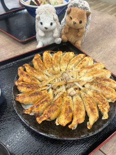 今日は家族で福島に遊びに行ってるよ！🚗³₃
福島は円盤餃子が名物なんだって。
スパイスが効いててとても美味しかったよ！