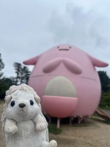 ラッキー公園！！色んなポケモンがいた！！