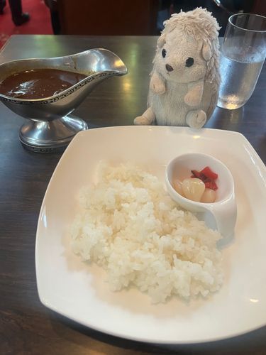 レトロ喫茶店に行ってきたよ。店内とても可愛かったカレーに入ってたお肉がでかくて柔らかかったの。とても美味しかったけど思ってたよりカレー少なくてだいふく足りなかった🦔💦
