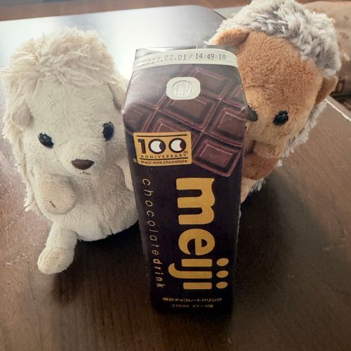 コンビニで美味しそうな飲み物が売ってたよ！！！チョコ好きにはたまらん…！🦔❤️