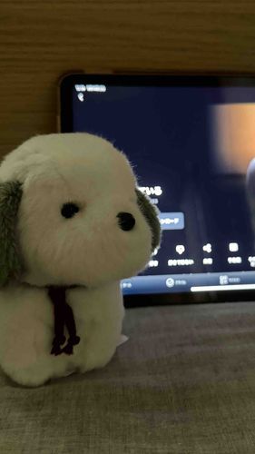 怖い映画は一緒に観ようね！🥹