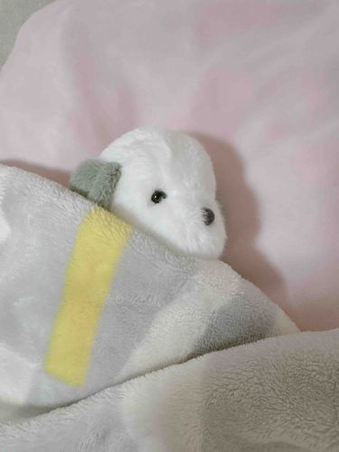 そろそろ寝なきゃ🫠