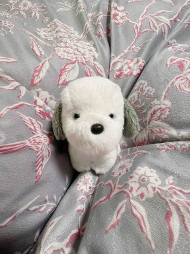 久しぶりになっちゃった☺️💦
うーちゃんは今日も元気🐶