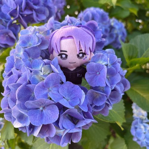 紫の紫陽花はフェンファンのいろだよねー
紫陽花がかんむりみたいに咲いててピッタリな穴が空いてた。ここに載せてくださいと言ってるようにピッタリ