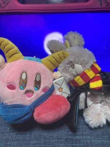 ふわふわちゃん🐰🩷🤎
とコラボしたよー！ふわふわちゃんの方にも出てるからねー！