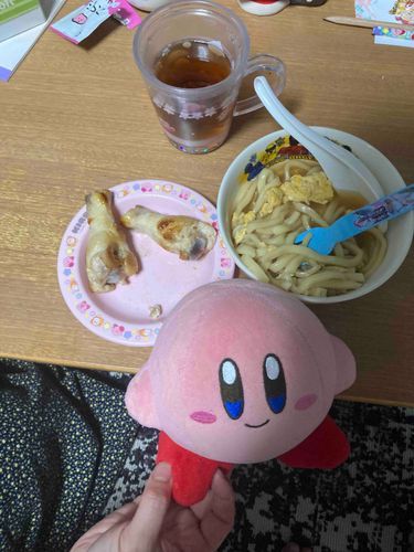 今日の夜ご飯！お肉とうどん美味しいです