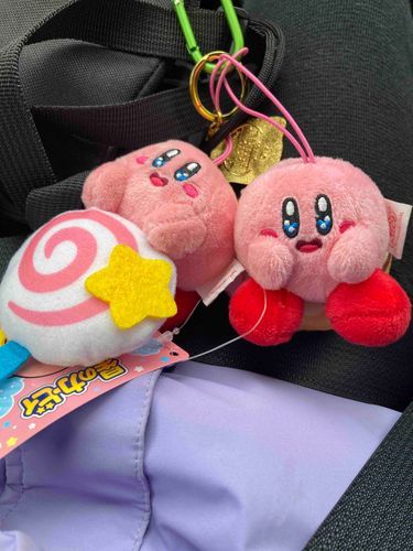 新入りの子！クレーンゲームでとった