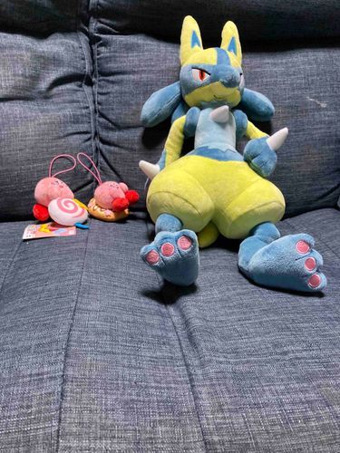 新入り！2目これもクレーンゲームでとった