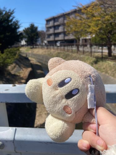 学校帰り