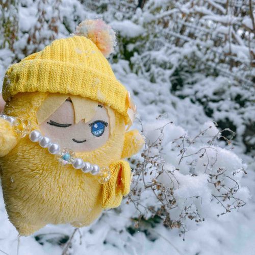 ゆき！！！です！！！