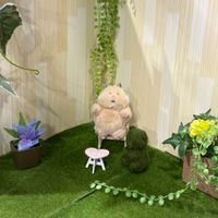 むぎお