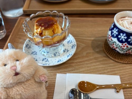 なんかおしゃれなカフェにつれてきてもらったよ
ぷりんとここあ、おいしかった
꒦꒷🤍🍮☕️🫧꒷꒦