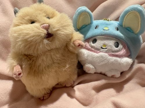 あたらしいおともだちがおうちにやってきた！これからよろしくね😊