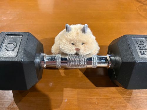 お、おもいー…！！