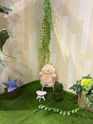 なんかデパートにぼくにぴったりのすてきなお庭があったから飼い主に撮ってもらった(*≧∀≦*)