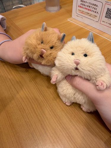 おともだちできた！